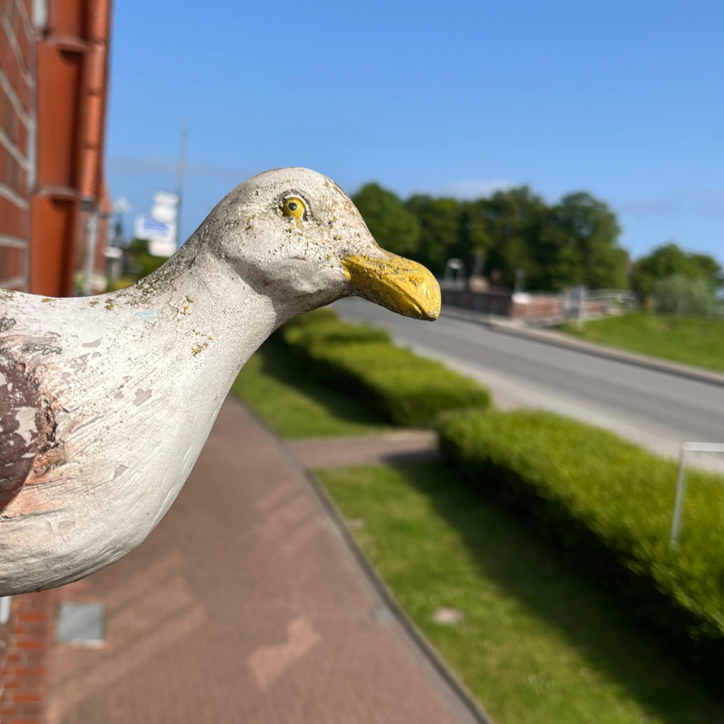 FeWo Möwe